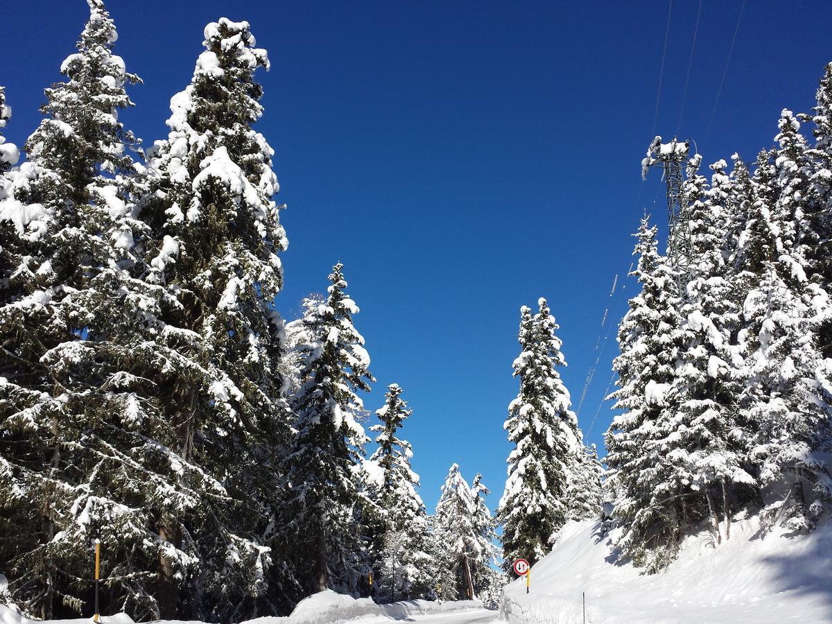 Gasthof Waldruhe ซอลดา ภายนอก รูปภาพ