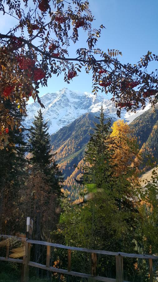 Gasthof Waldruhe ซอลดา ภายนอก รูปภาพ